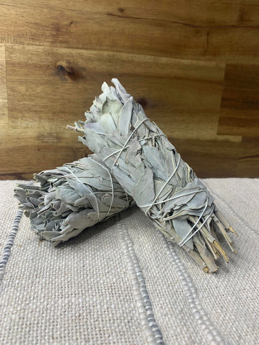 White Sage Smudge Stick - Medium