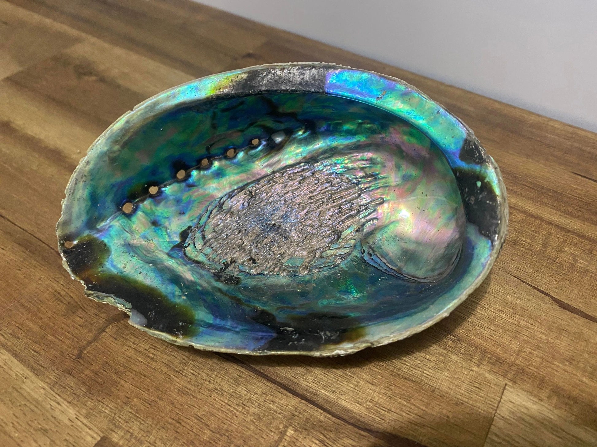 Abalone Shell Natural/Unpolished - Large