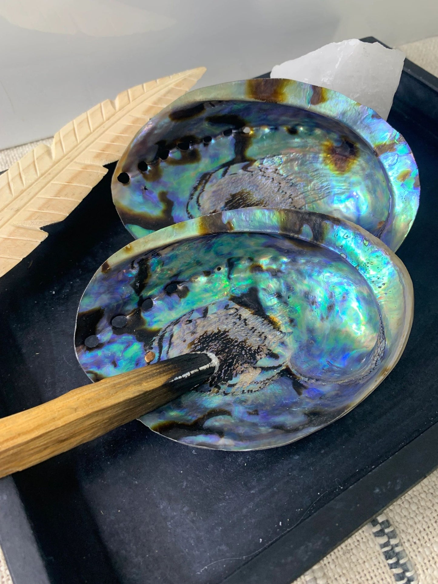 Abalone Shell - Extra Large