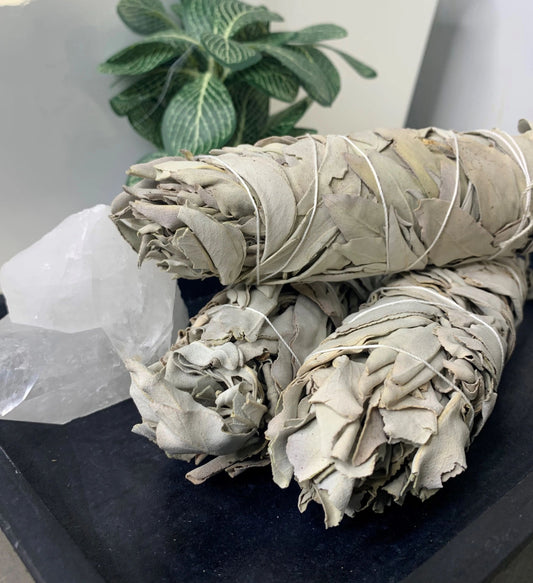 White Sage Smudge Stick - Large